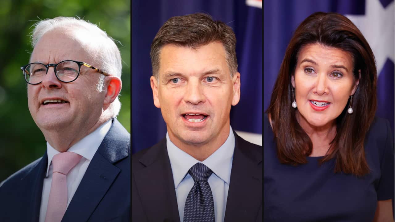A composite image of three faces: Anthony Albanese, Angus Taylor and Jane Hume.
