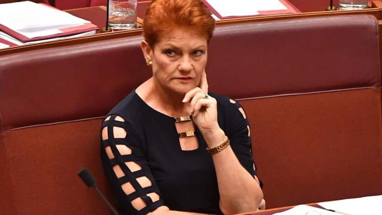 One Nation leader Senator Pauline Hanson