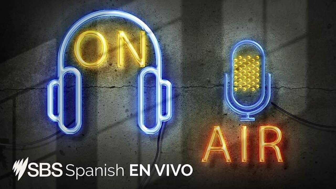 Programa en Vivo