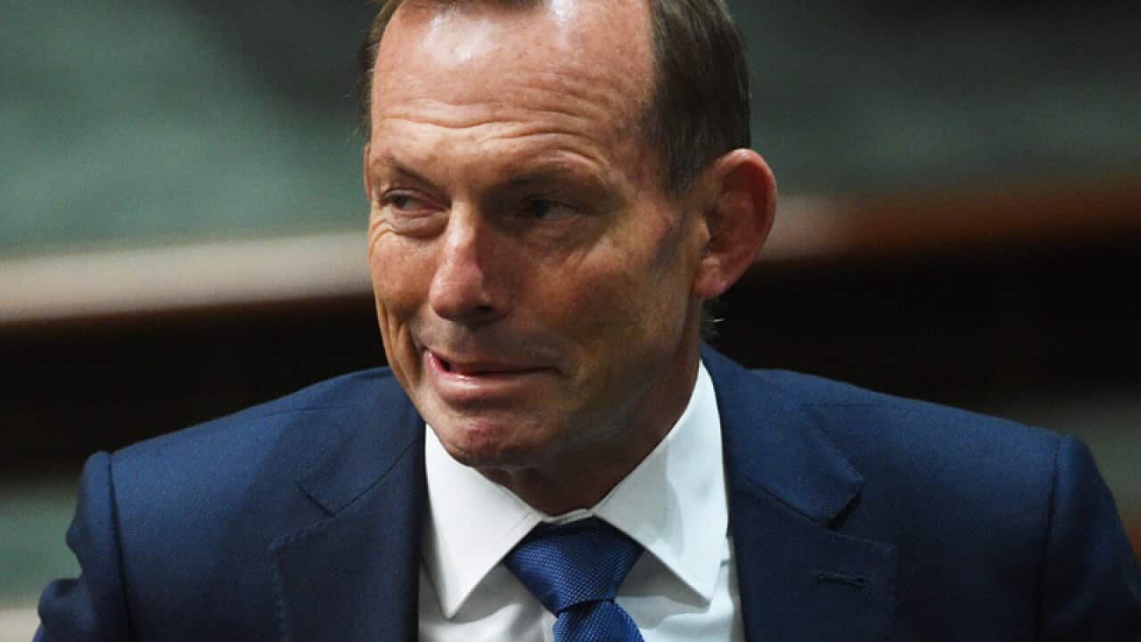 Former prime minister Tony Abbott