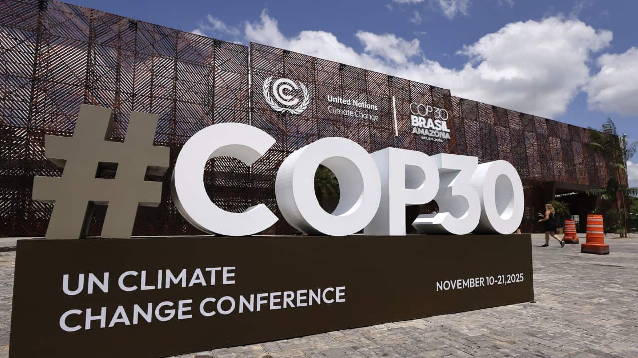 COP30 Brazil Amazonia 2025 - Previews