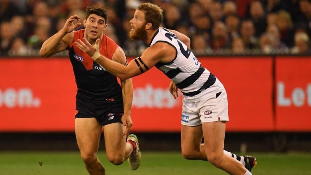 Melbourne star Christian Petracca