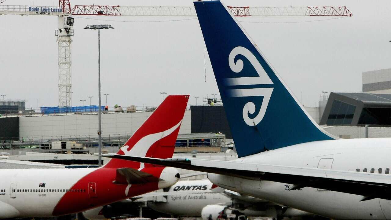The tails of a Qantas plane and an Air New Zealand plane at Sydney Airport