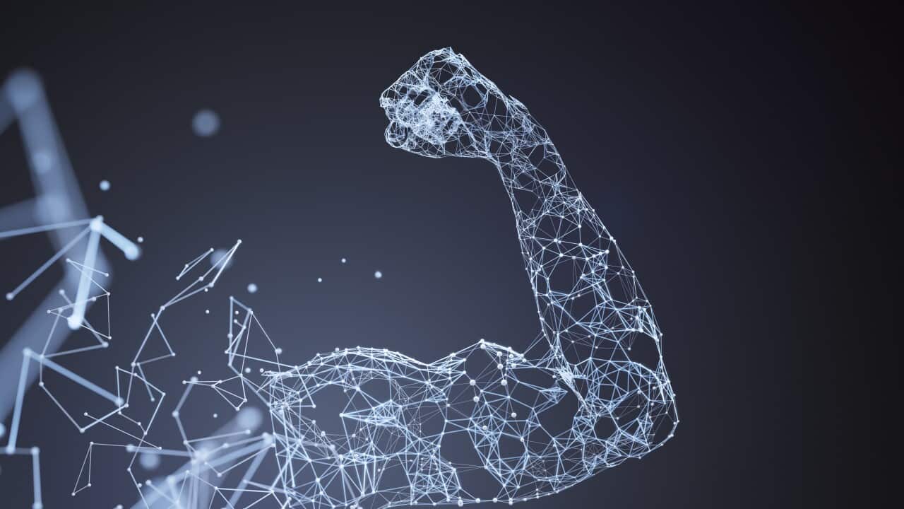 Muscle network landscape blue