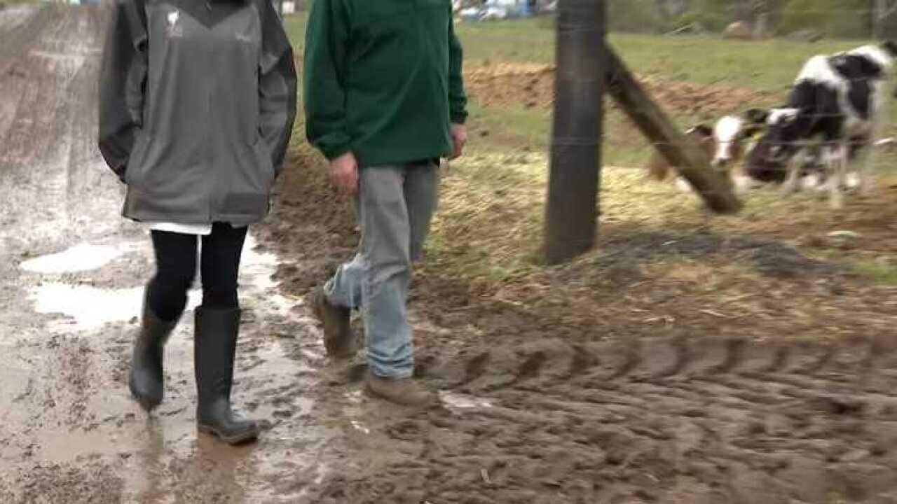 Drought in NSW