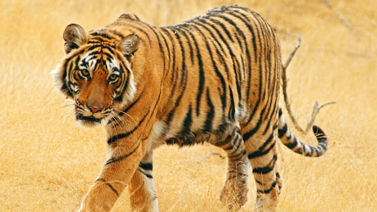 Image for read more article 'READ MORE'