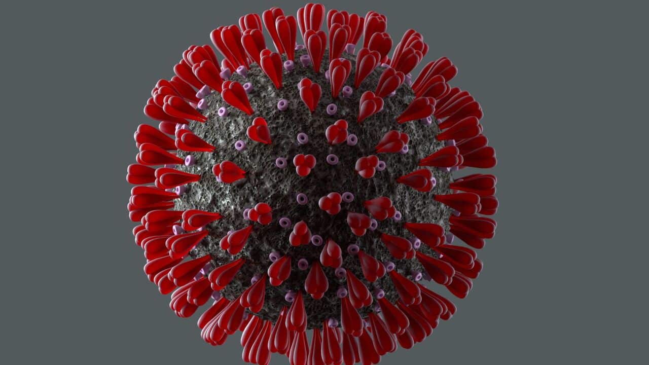 Coronavirus