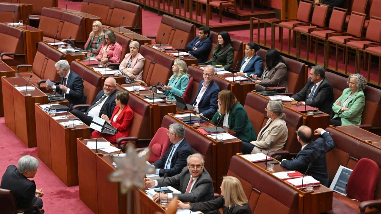 Labor senators vote for the Government to move the help-to-buy bill in the Senate chamber (AAP).