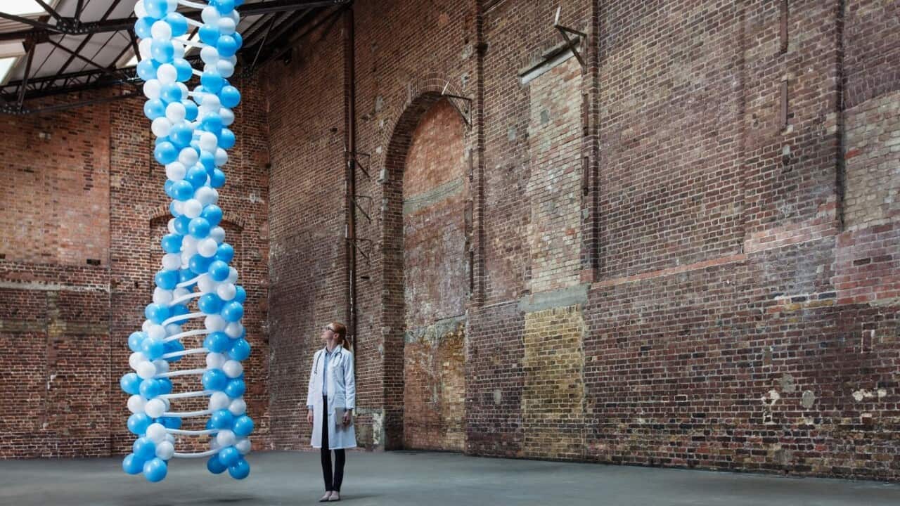 Doctor in warehouse with DNA made of balloons (Getty Images - Ezra Bailey)