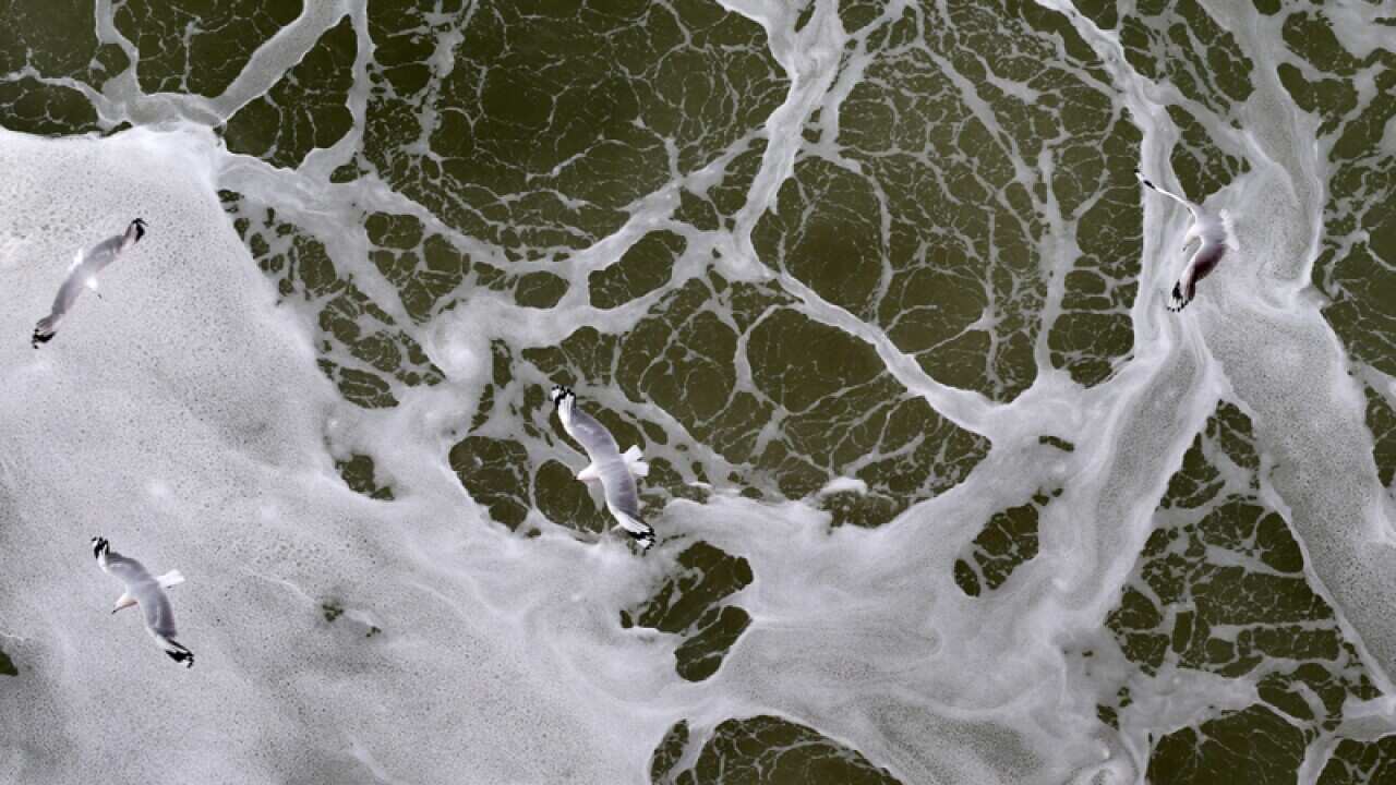 the frothy ocean waters of Bass Strait