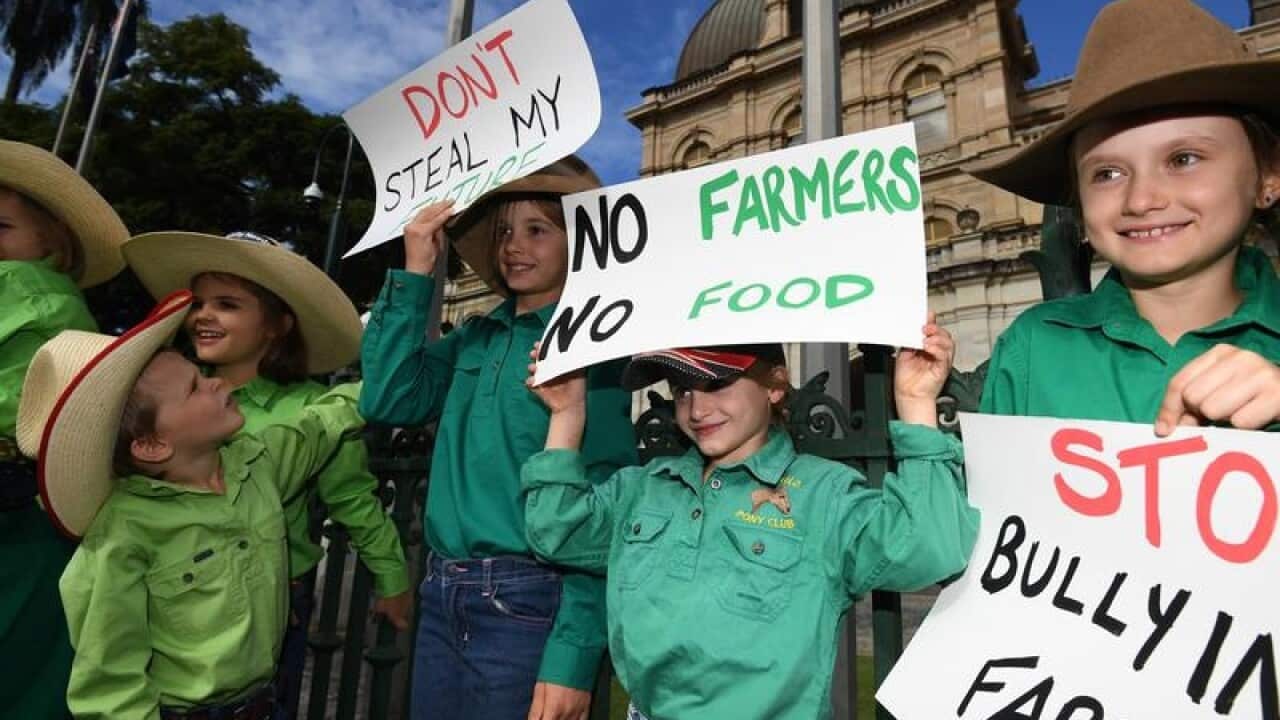 Farmers' children hold protest signs in Queensland