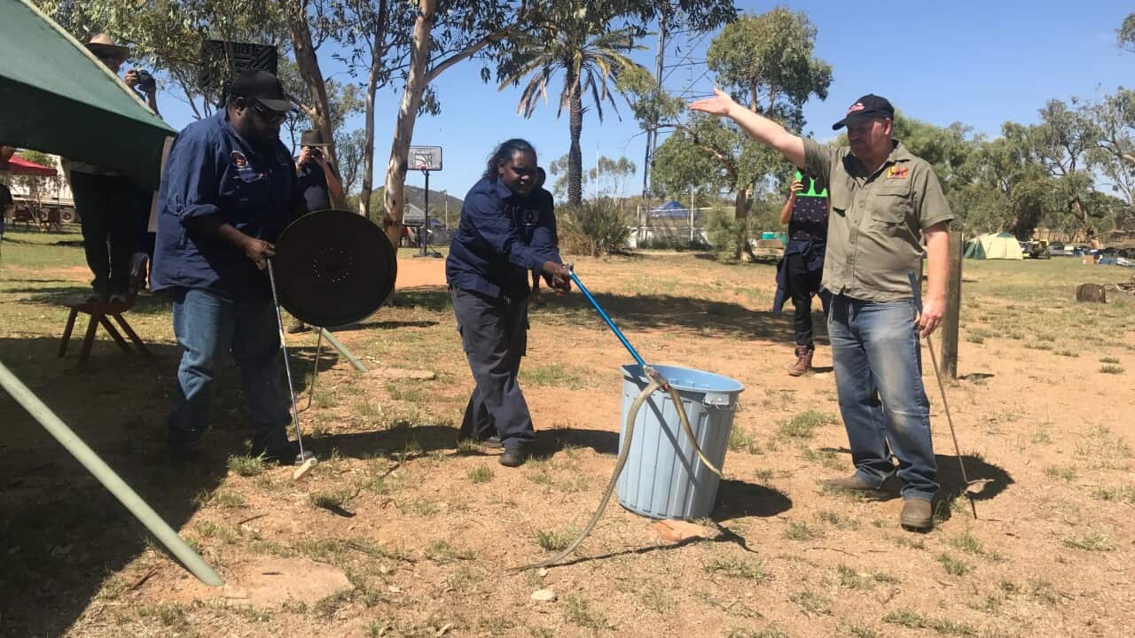Snake catching