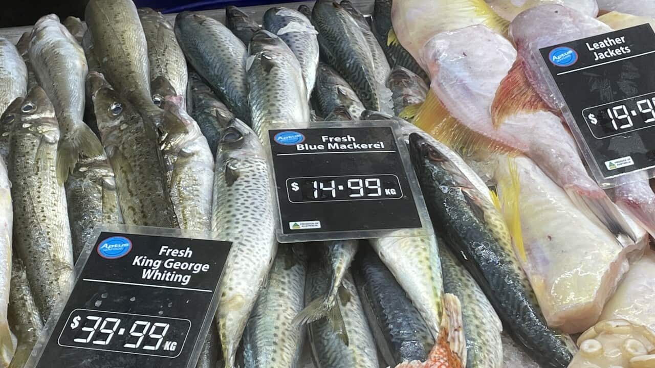 Mackeral.jpeg