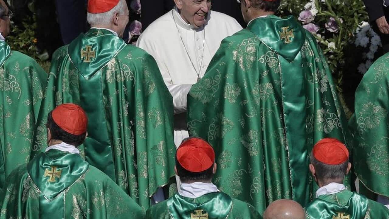 Pope Francis and cardinals