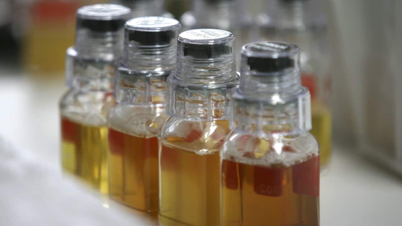 urine samples from Chinese athletes