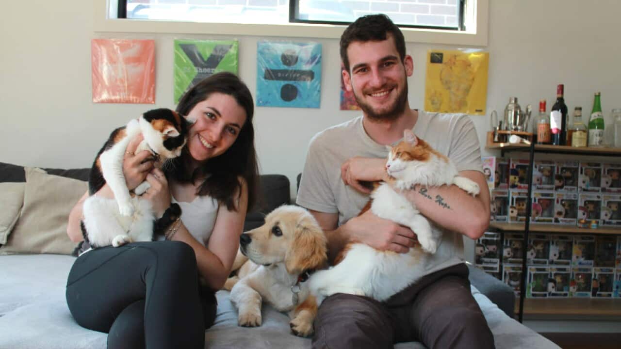 Umberto e la sua ragazza francese, Melli, assieme al loro cucciolo e ai loro due gatti.jpg