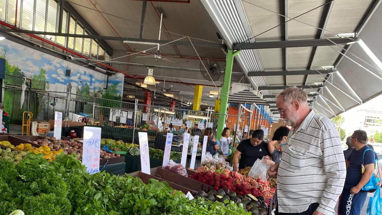 Image for read more article 'READ MORE'