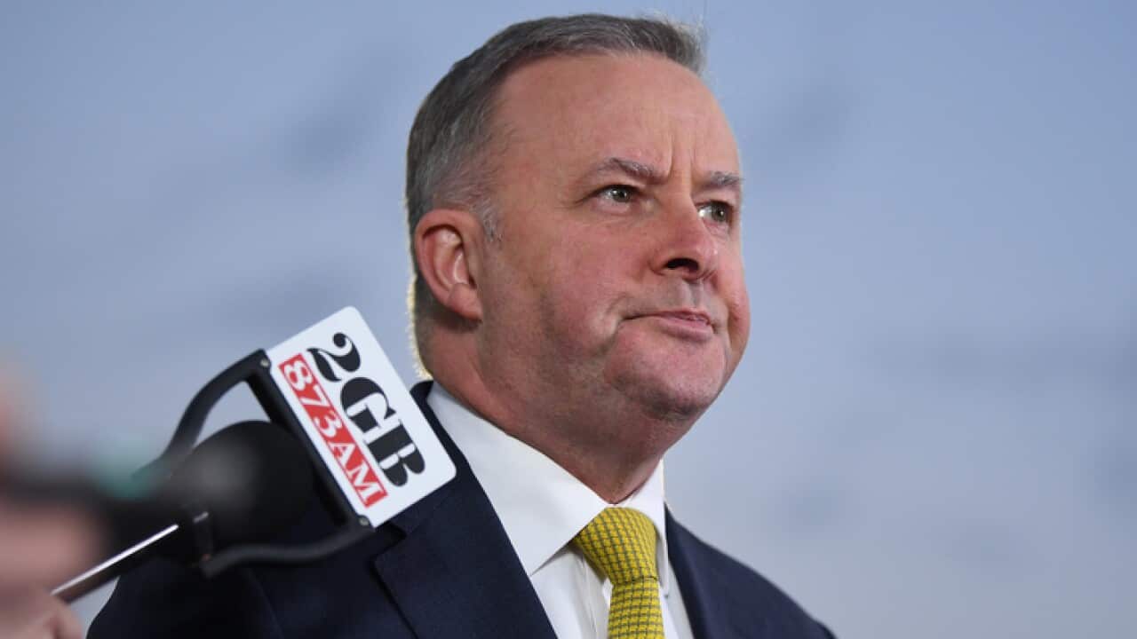 Labor Member for Grayndler Anthony Albanese speaks to the media at Henson Park in Marrickville, Sydney