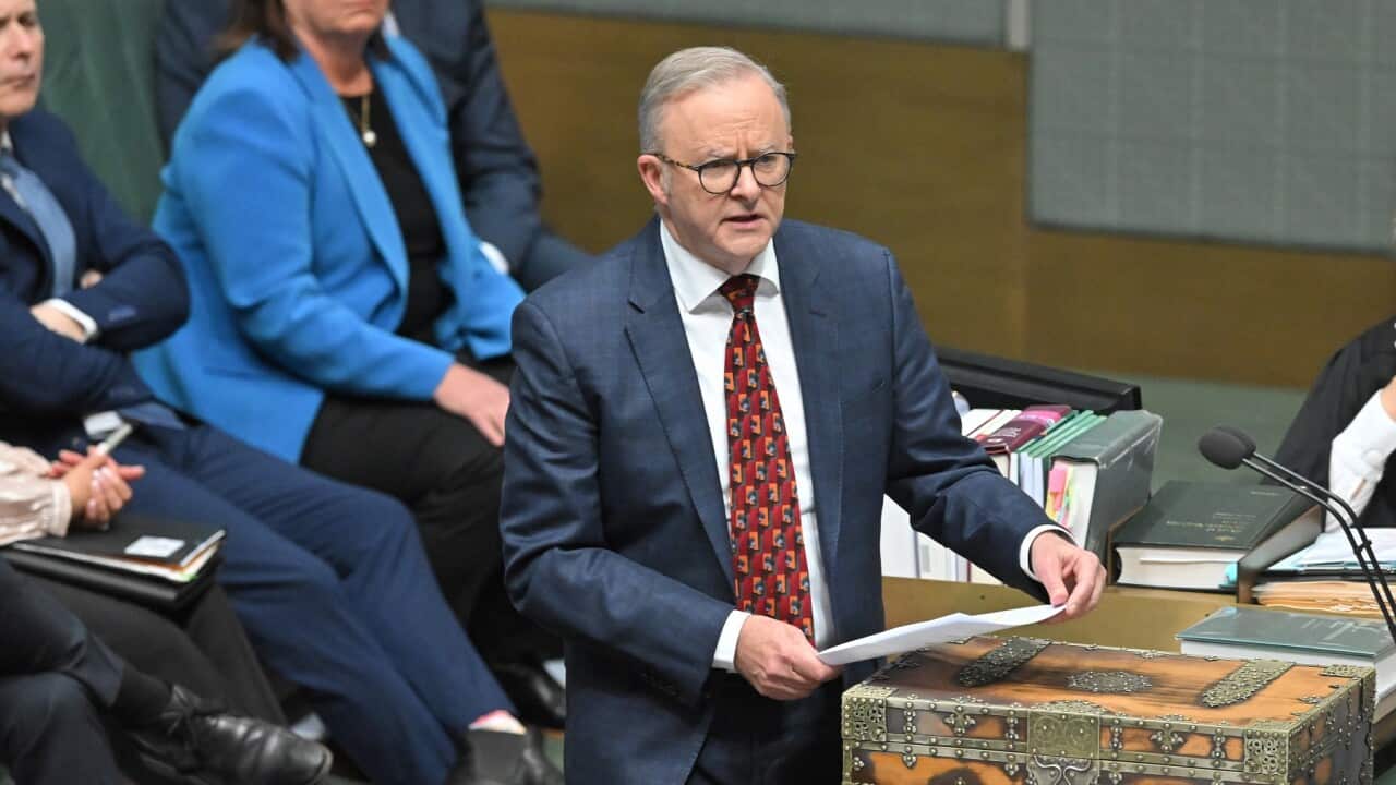 Diversity is our strength, says Albanese (AAP)