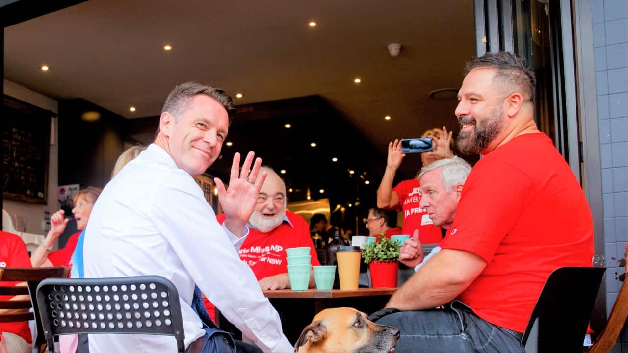 NSW Labor Leader Chris Minns (AAP Image/Nikki Short)