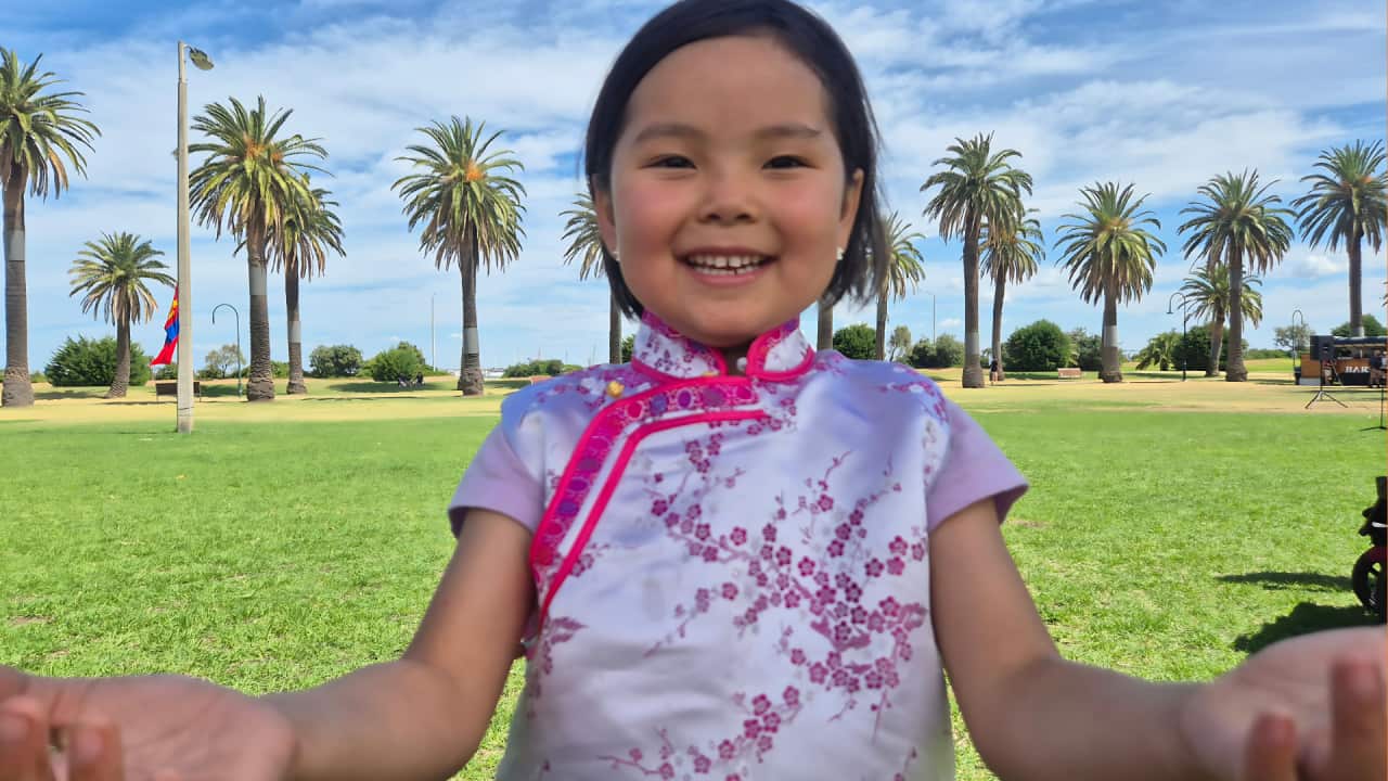 Copy of ALC Header Window Insert (1).png