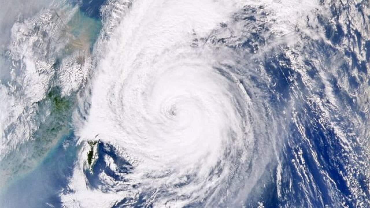 Image for read more article 'READ MORE'