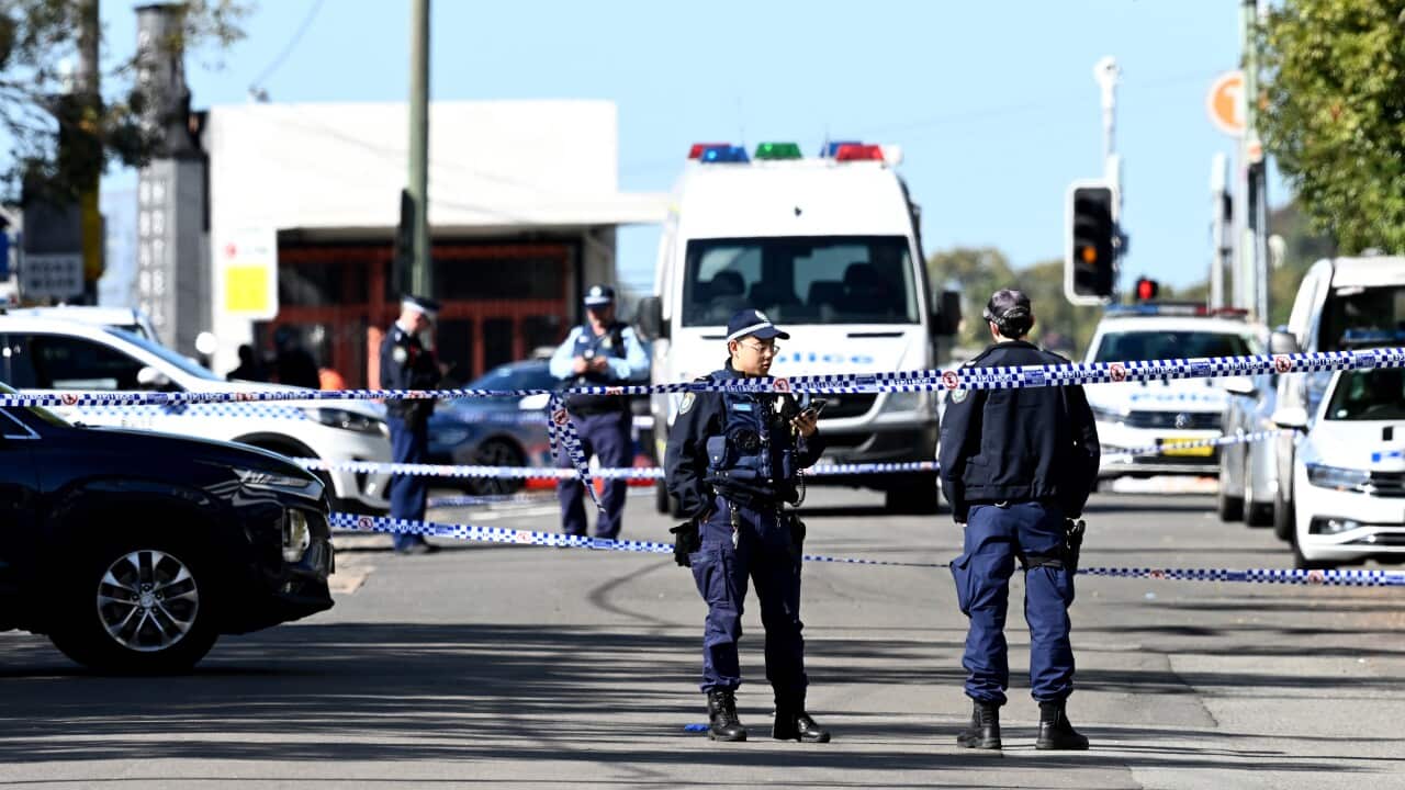 SYDNEY GANG SHOOTING