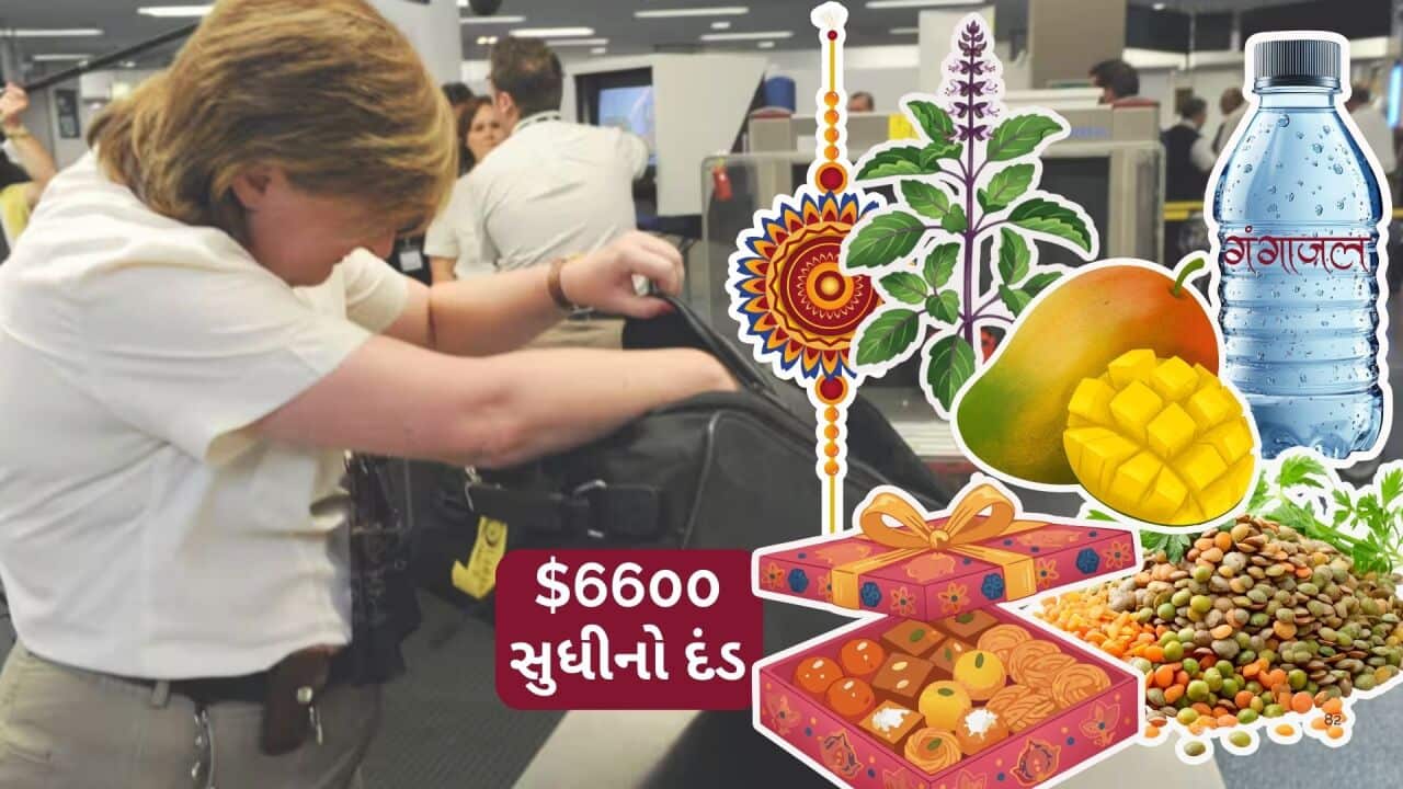 “If in doubt, declare“ is the key to avoid biosecurity infringement on Australian airports. Credit: DEAN LEWINS/AAPIMAGE