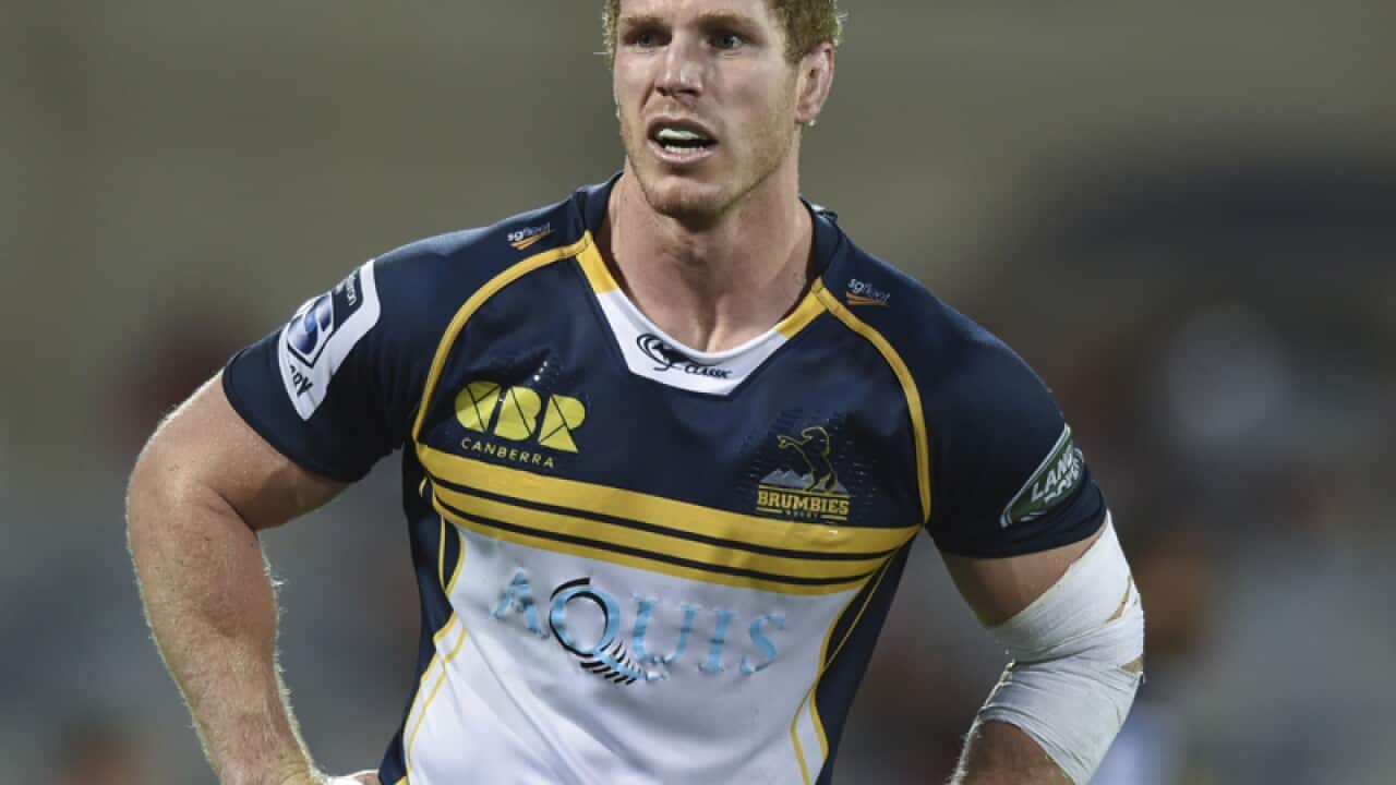 David Pocock of the Brumbies.