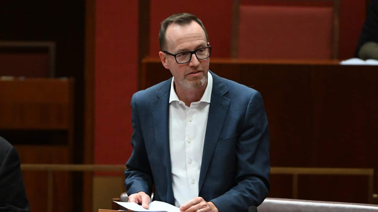 DAVID SHOEBRIDGE in Parliament