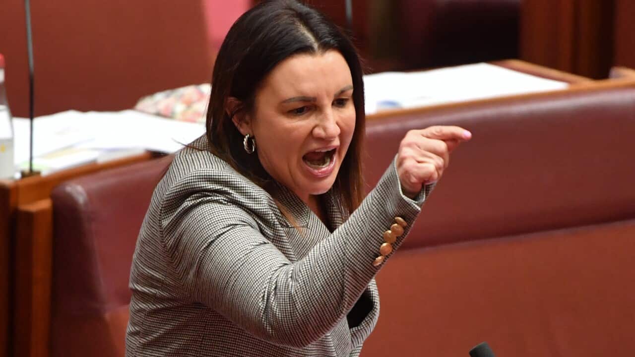 Senator Jacqui Lambie will not support the government's Job-Ready Graduates university reform bill. 