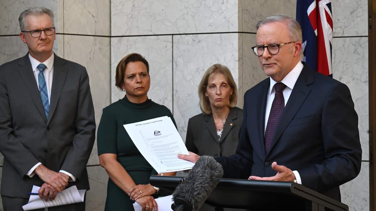 Anthony Albanese in a grey suit and a striped tie.