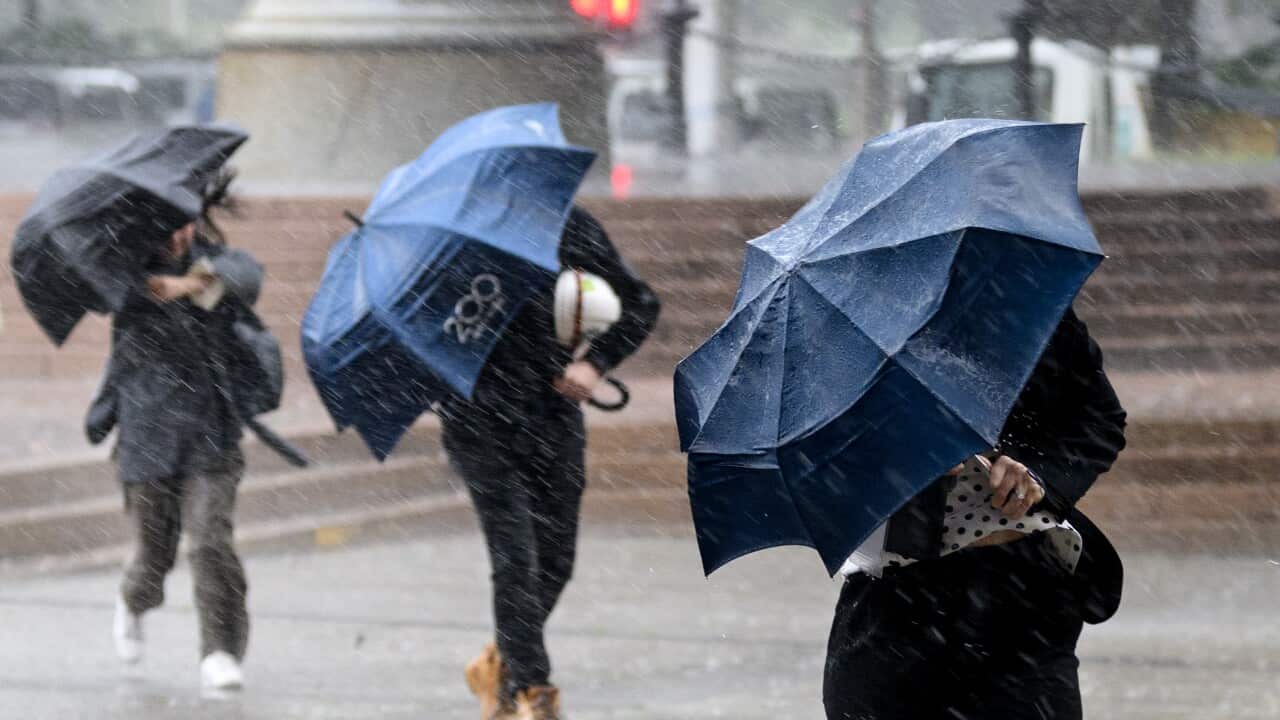 WET WEATHER SYDNEY