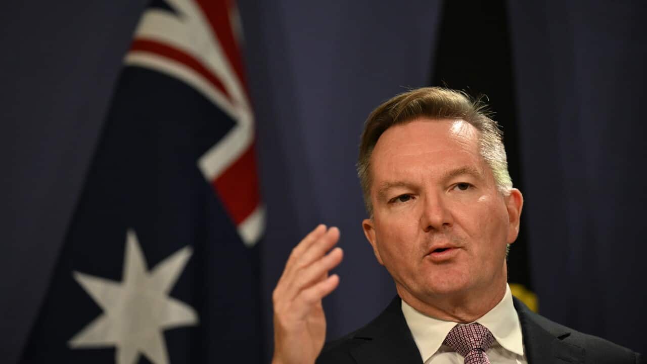 CHRIS BOWEN NUCLEAR REAX PRESSER