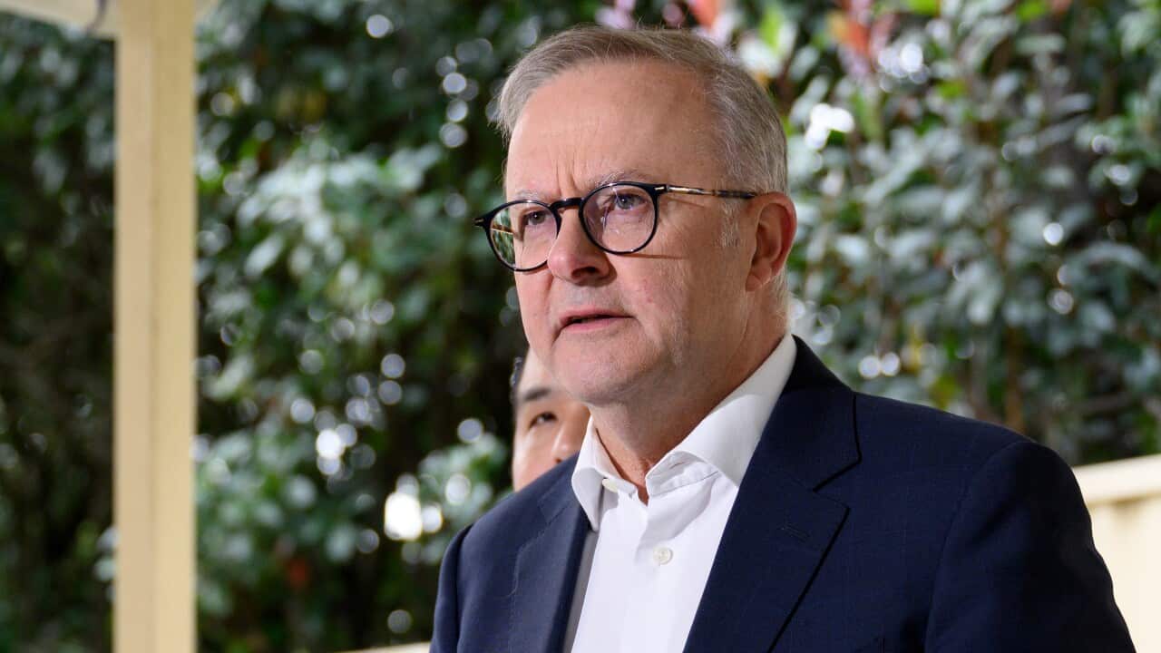 ANTHONY ALBANESE SYDNEY VISIT