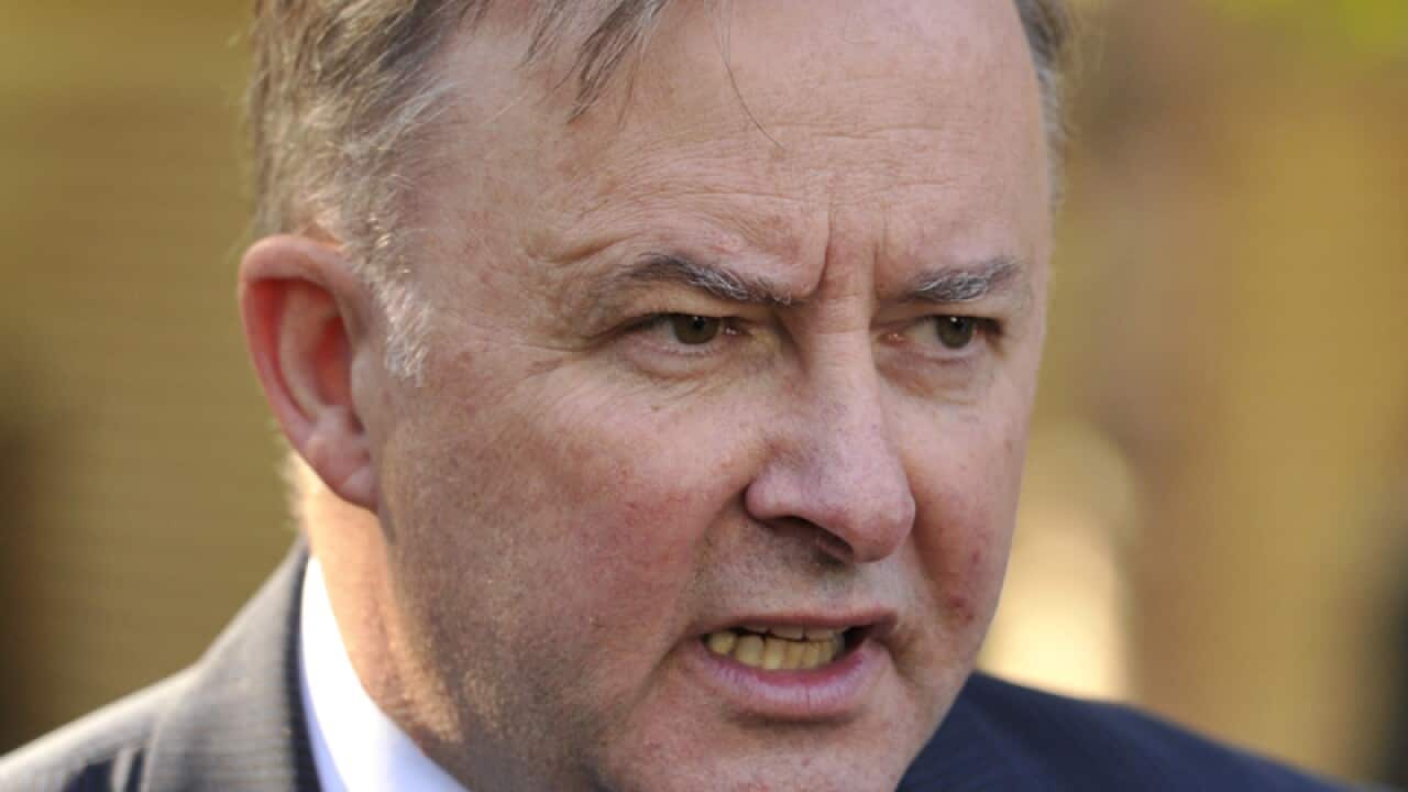 Labor Shadow Minister for Infrastructure Anthony Albanese