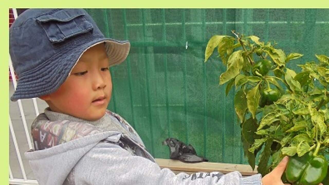 Environmental Education At CCC