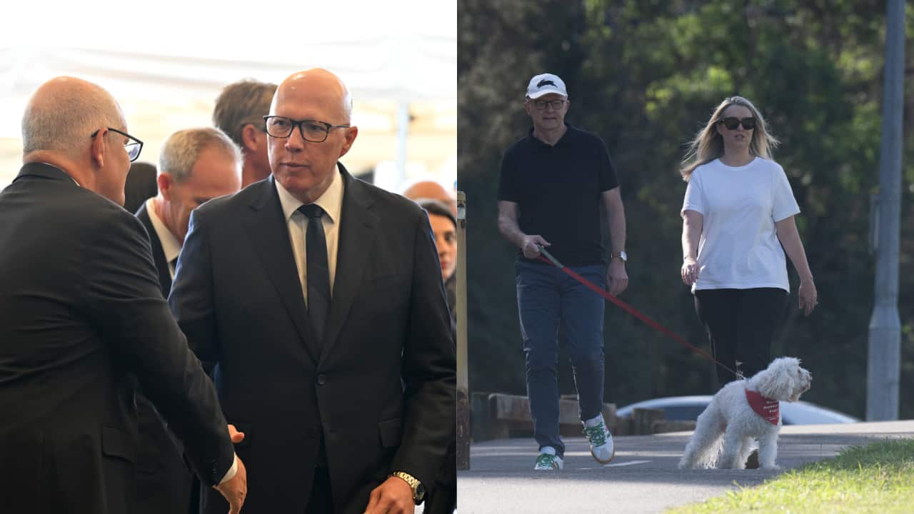 Mahshid (1600 x 900 px) (1800 x 1013 px).png