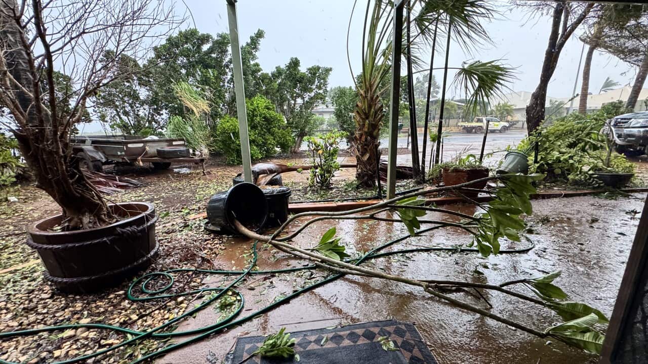 Damage after Cylone Zelia