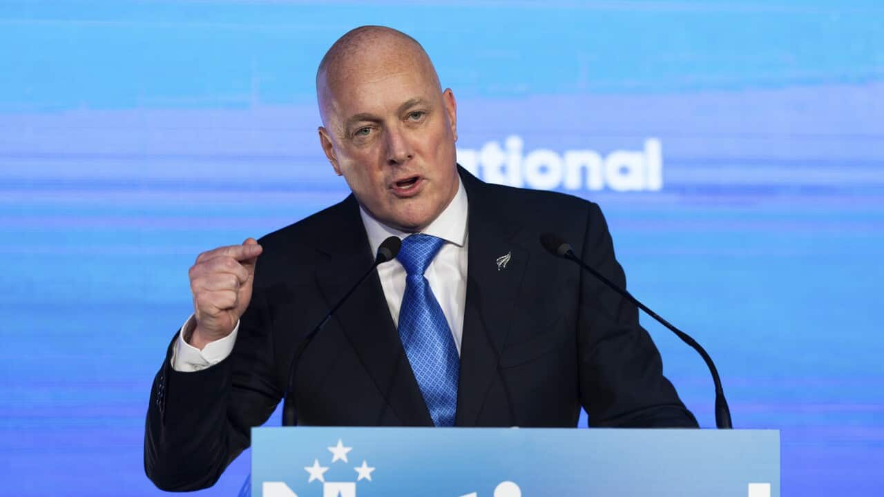 New Zealand Historical Abuse