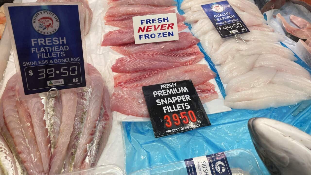 Tomaru58 Snapper and Flathead (2).jpg