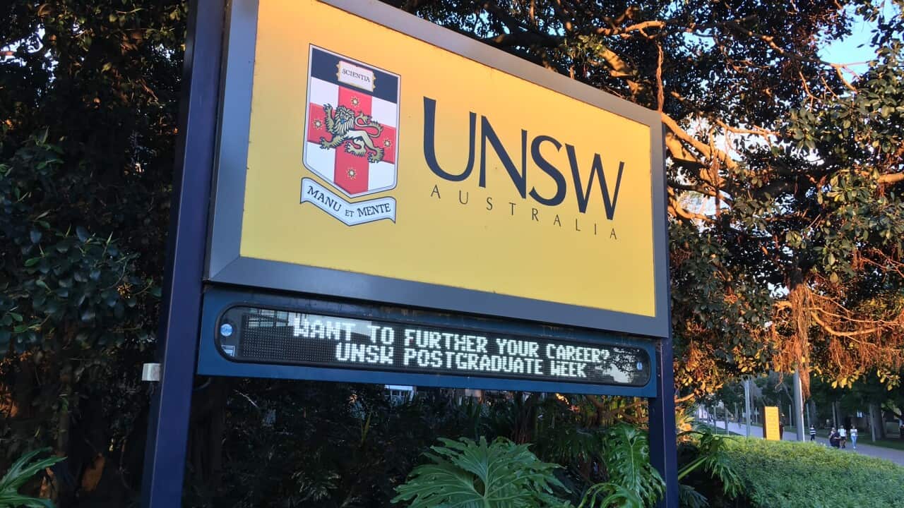 A file image of the Kensington campus at the University of New South Wales 