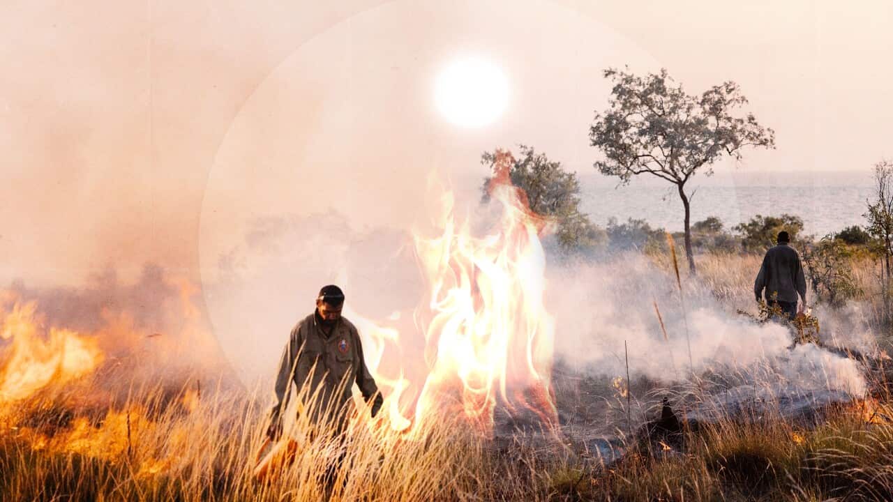 GFX 110225 CULTURAL BURNING AUSTRALIA EXPLAINED HEADER.jpg