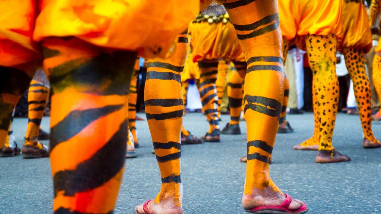 Painted tiger legs