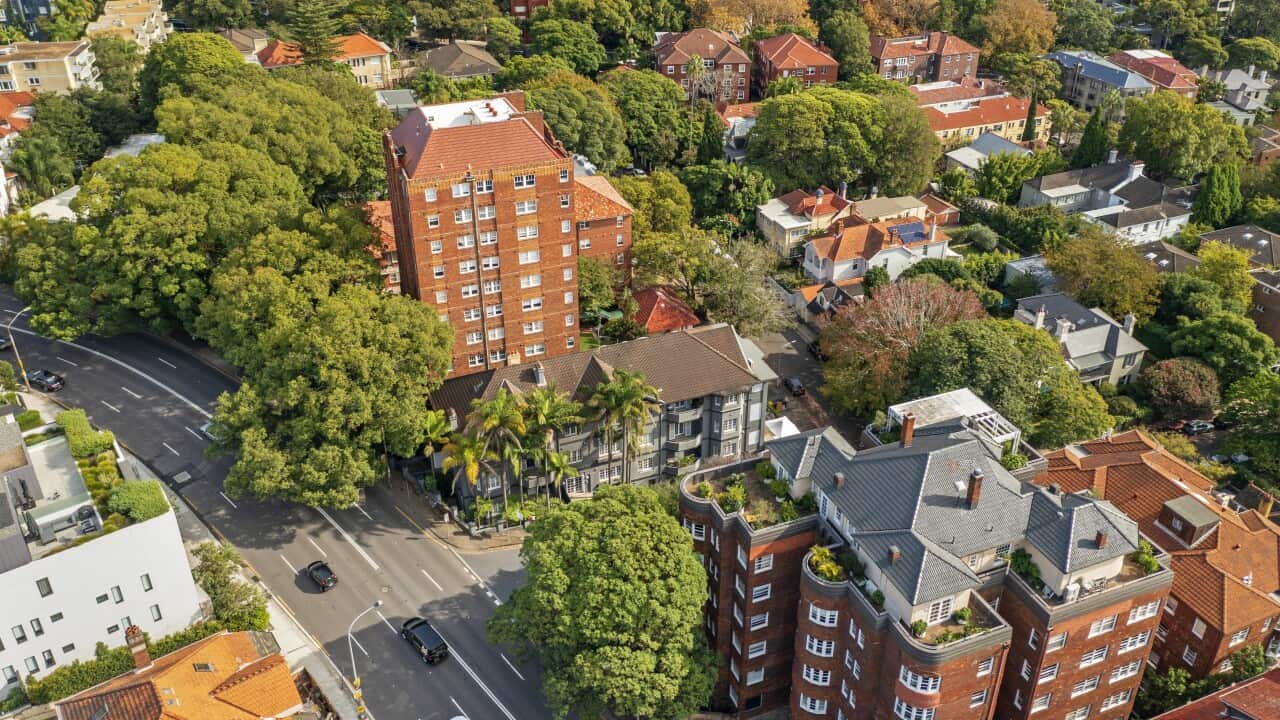 Image for read more article 'READ MORE'