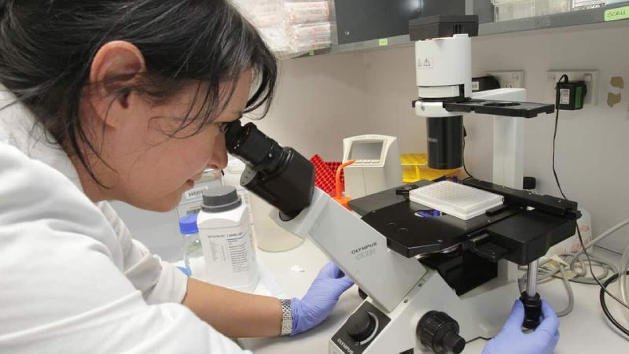 The NSW Government is investing $1 million into an immunotherapy trial.