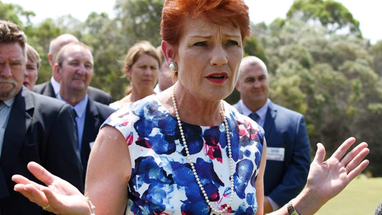 One Nation leader Pauline Hanson