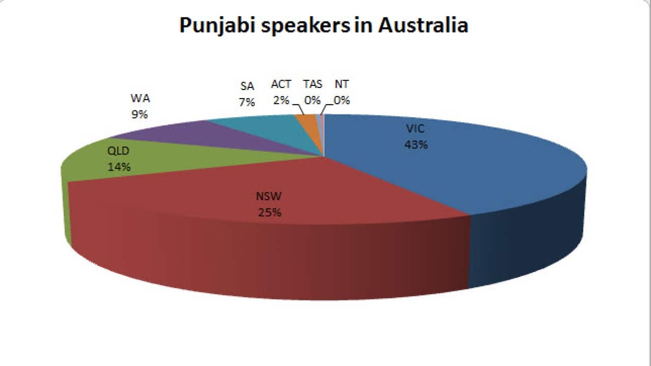 Image for read more article 'Related articles, interviews and videos from SBS Punjabi'