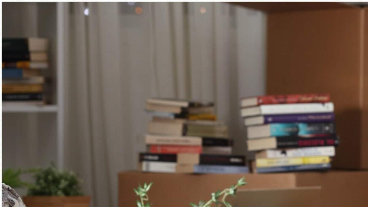 Image for read more article 'READ MORE'