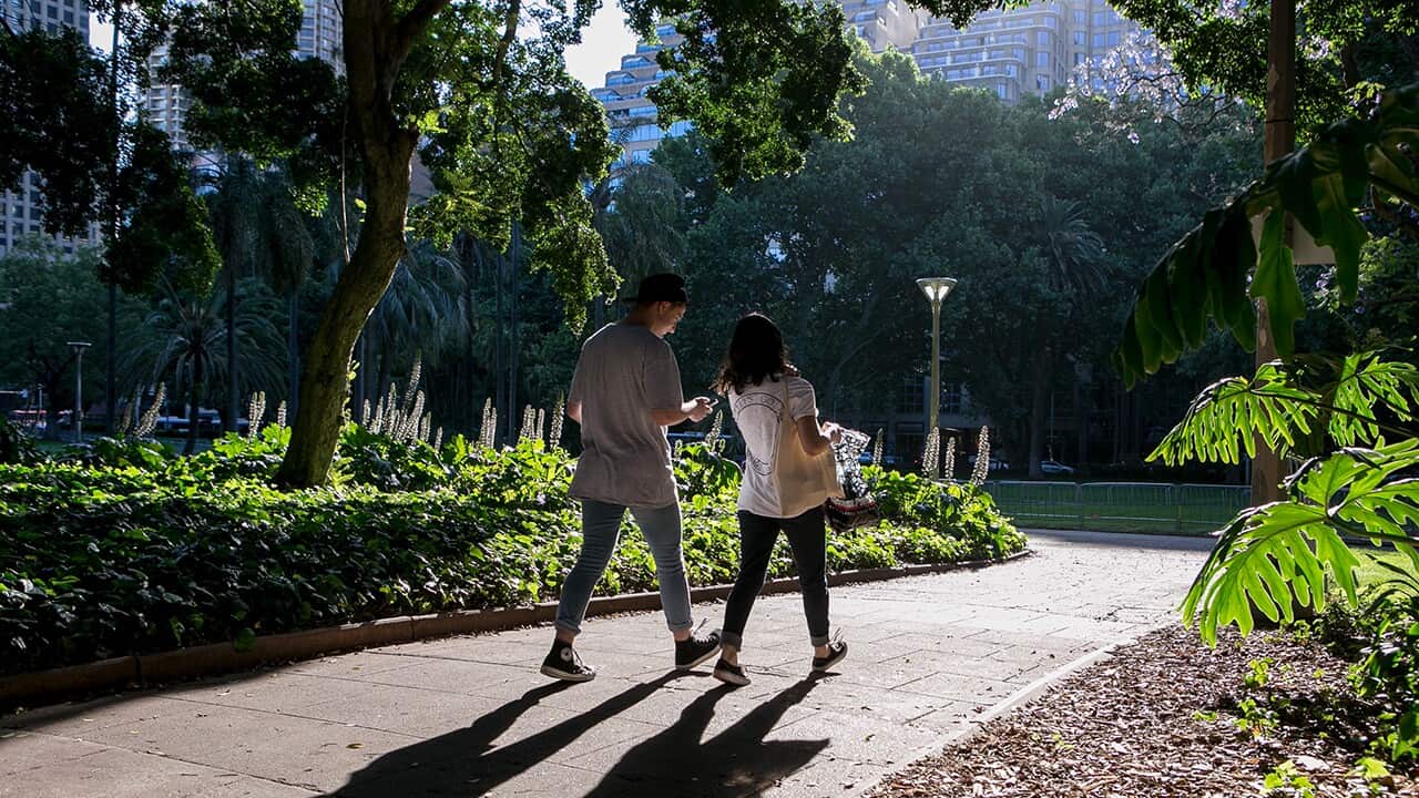 Image for read more article 'READ MORE'